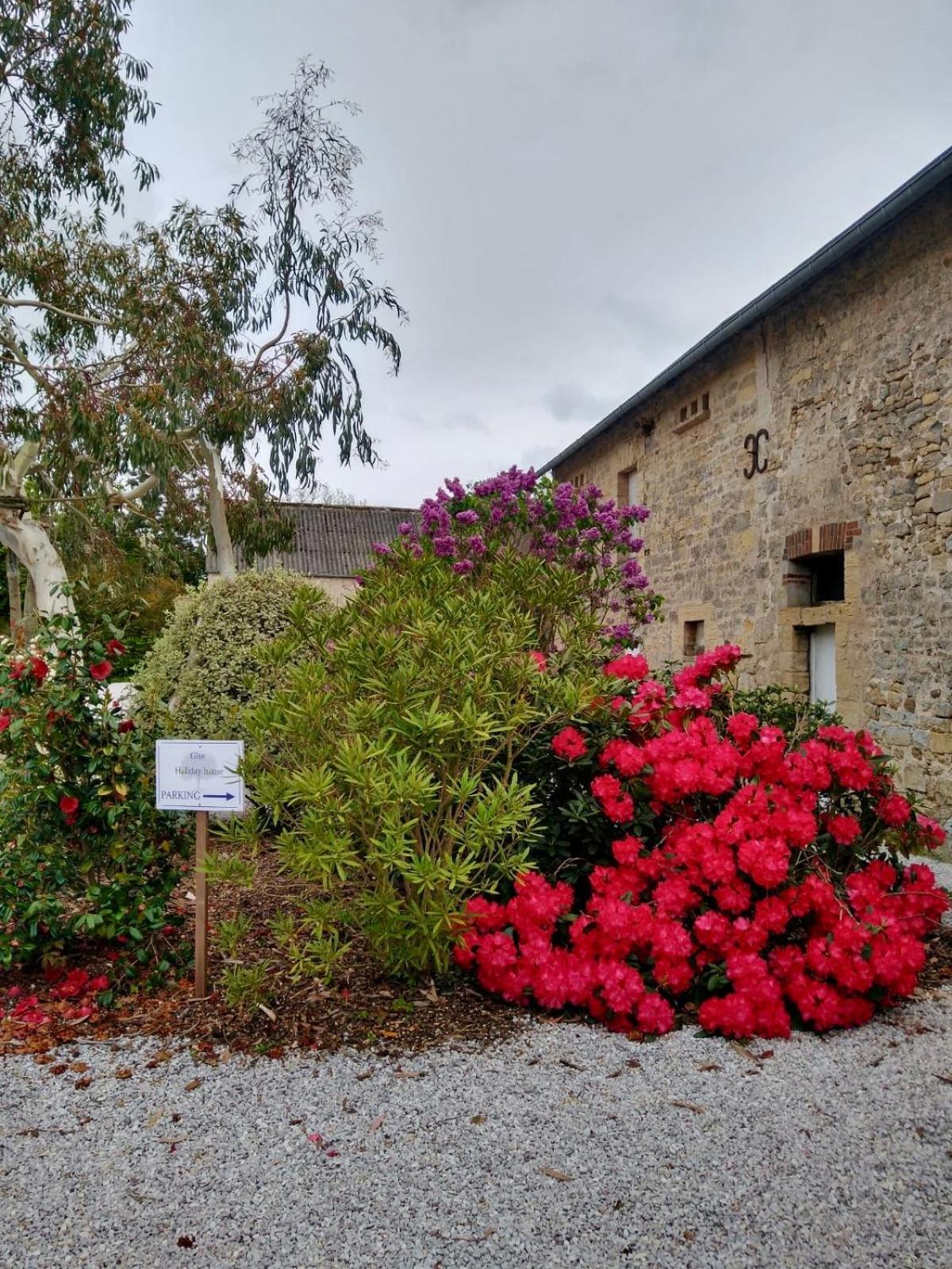 Les Chambres D'Omaha Beach Etablissement Avec Deux Chambres D'Hotes, Petit-Dejeuner Compris Fait-Maison Et Produits Locaux ヴィエルヴィル・シュル・メール エクステリア 写真